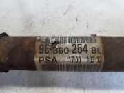 Antriebswelle Rechts Vorne ABS 9686025480 Citroën C3 (SC) Schrägheck 5-drs 1.6 HDi 92 (DV6DTED(9HP)) 2012-06