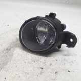 Nebelscheinwerfer Rechts Vorne 8200002470 Renault Clio III (BR/CR) Schrägheck 1.2 16V Tce (D4F-786(D4F-H7)) 2012