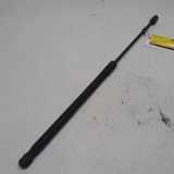 Gasdruckfeder Rechts Hinten 6R6827550A Volkswagen Polo V (6R) Schrägheck 1.2 TDI 12V BlueMotion (CFWA(Euro 5)) 2010 CFWA(Euro 5)