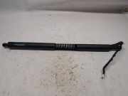 Gasdruckfeder Rechts Hinten 17893910 BMW 3 serie Gran Turismo (F34) Schrägheck 320d xDrive 2.0 16V (N47-D20C) 2014-06
