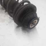 Stoßdämpfer Rechts Vorne Suzuki Alto Schrägheck 5-drs 1.0 12V (K10B) 2013-10