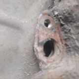 Radnabe Vorne Suzuki Grand Vitara I (FT/GT/HT) SUV 2.0 16V (J20A) 2004