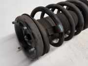 Stoßdämpfer Rechts Vorne 22184698 BMW X5 (E53) SUV 3.0d 24V (M57-D30(306D1)) 2003