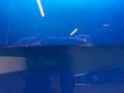 Tür Links Hinten 50549838 Alfa Romeo Giulia (952) Limousine 2.0 T 16V Veloce Q4 (55273835(Euro 6)) 2020