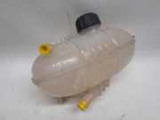 Ausgleichbehälter 217101893R Fiat Talento Van 1.6 MultiJet,EcoJet 95 (R9M-413(R9M-H4)) 2019-08