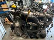 Motor Renault Clio III (BR/CR) Schrägheck 1.2 16V TCe 100 (D4F-784(D4F-H7)) 2009