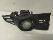 Nebelscheinwerfer Rechts Vorne 1NL008090 BMW 7 serie (E65/E66/E67) Limousine 735i,Li 3.6 V8 32V (N62-B36A) 2003