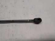 Gasdruckfeder Links Hinten Mercedes-Benz B (W245) Schrägheck 1.5 B-150 16V (M266.920) 2007-06