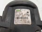 Nebelscheinwerfer Links Vorne 9650001680 Peugeot 207 SW (WE/WU) Kombi 1.6 16V (EP6C(5FS)) 2008-02