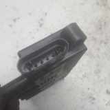 Zündspule 55200112 Fiat Punto Evo (199) Schrägheck 1.2 Euro 5 (169.A.4000(Euro 5)) 2011-04