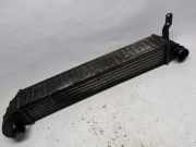 Ladeluftkühler 7M3145805 Seat Alhambra (7V8/9) Großraumlimousine 1.9 TDi 115 (BVK(Euro 4)) 2002