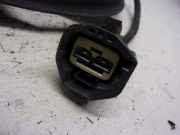 Kühlerventilatormotor 4986737 Ford Transit Connect Van 1.8 TDCi 90 (HCPD) 2010