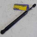 Gasdruckfeder Rechts Hinten 8E5827552J Seat Exeo (3R2) Limousine 2.0 TDI 16V (CJCA) 2009