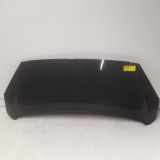Motorhaube 7901K9 Peugeot 1007 (KM) Schrägheck 1.4 16V (ET3J4(KFU)) 2007