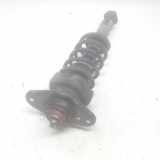 Stoßdämpfer Rechts Hinten 33506764912 Mini Mini (R50/53) Schrägheck 1.6 16V One (W10-B16A) 2003-05