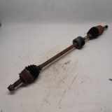 Antriebswelle Rechts Vorne Fiat Panda (169) Schrägheck 1.2 Fire (188.A.4000) 2004