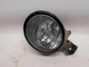 Nebelscheinwerfer Links Vorne 8200002469 Renault Master III (EV/HV/UV/VA/VB/VD/VF/VG/VJ) Chassis-Cabine 2.3 dCi 125 16V FWD (M9T-876) 2014-07