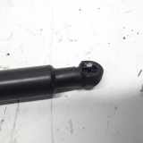 Gasdruckfeder Links Hinten 8200385560 Renault Twingo II (CN) Schrägheck 3-drs 1.2 16V (Euro 5)) 2008