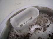 Kraftstoffpumpe Elektrisch 0580200106 Volkswagen Up! (121) Schrägheck 1.0 12V 60 (CHYE) 2013-11 CHYE