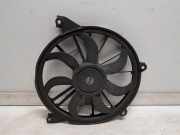 Kühlerventilatormotor 3021202336W Fiat Freemont Großraumlimousine 2.0 MultiJet 170 16V AWD (939.B.5000) 2013-07