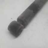 Stoßdämpfer Links Hinten Daewoo / Chevrolet Spark (M300) Schrägheck 1.2 16V (B12D1(Euro 5)) 2012