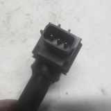 Zündspule 224332428R Renault Captur (2R) SUV 0.9 Energy TCE 12V (H4B-408(H4B-B4)) 2019