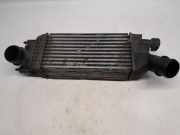 Ladeluftkühler 9657073480 Citroën C5 III Tourer (RW) Kombi 2.0 HDiF 16V (DW10BTED4(RHF)) 2010-05
