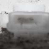 Kraftstoffpumpe Elektrisch 0051836523 Lancia Ypsilon (312) Schrägheck 0.9 TwinAir 85 (312.A.2000(Euro 5)) 2011-09