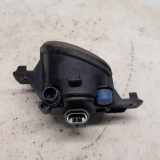 Nebelscheinwerfer Links Vorne 8200002469 Renault Koleos I SUV 2.5 16V (2TR-703) 2008