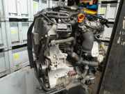 Motor Volkswagen Polo V (6R) Schrägheck 1.6 TDI 16V 90 (CAYB) 2013 CAYB