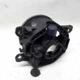 Nebelscheinwerfer Links Vorne Renault Grand Sc?nic III (JZ) Gro?raumlimousine 1.5 dCi 110 (K9K-636(K9K-A6)) 2012