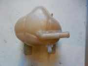 Ausgleichbehälter Fiat Punto Evo (199) Schrägheck 1.3 JTD Multijet 85 16V (199.B.4000(Euro 5)) 2010