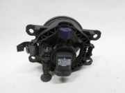 Nebelscheinwerfer Links Vorne Renault Grand Sc?nic III (JZ) Gro?raumlimousine 2.0 dCi 16V 150 FAP Autom. (M9R-C615) 2013