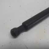 Gasdruckfeder Links Hinten 8200299546 Renault Clio III (BR/CR) Schrägheck 1.4 16V (K4J-780) 2005