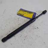 Gasdruckfeder Links Hinten 8E5827552J Seat Exeo (3R2) Limousine 2.0 TDI 16V (CJCA) 2009