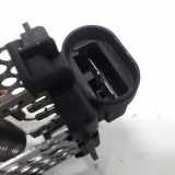 Kühlerlüfter Widerstand 3134503086 Renault Laguna III Estate (KT) Kombi 5-drs 2.0 Turbo 16V (F4R-811(F4R-J8)) 2013