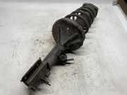 Stoßdämpfer Links Hinten Hyundai Tucson (JM) SUV 2.0 16V CVVT 4x2 (G4GC) 2007-05