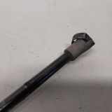 Gasdruckfeder Rechts Hinten 51248402405 BMW X5 (E53) SUV 3.0d 24V (M57-D30(306D4)) 2005