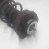 Stoßdämpfer Rechts Vorne 6N0413031K Volkswagen Polo III (6N2) Schrägheck 1.4 16V 75 (AUA) 2000-03 AUA