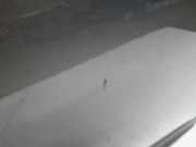 Tür Rechts Vorne H0100JD0M0 Nissan Qashqai (J10) SUV 1.6 16V (HR16DE) 2011