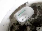 Tankschwimmer 6Q0919183A Volkswagen Polo IV (9N1/2/3) Schrägheck 1.9 SDI (ASY) 2003 ASY