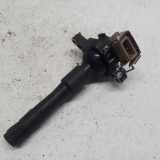 Zündspule 1748017 BMW 3 serie (E46/2C) Cabrio 320 Ci 24V (M54-B22(226S1)) 2001