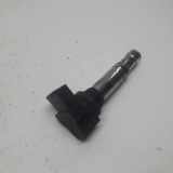 Zündspule 036905715G Skoda Fabia II Kombi Kombi 5-drs 1.2i 12V (CHTA) 2012