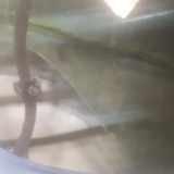 Tür Links Vorne 51751247 Fiat Bravo (198A) Schrägheck 1.9 JTD 16V Multijet 150 (937.A.5000(Euro 5)) 2008-05