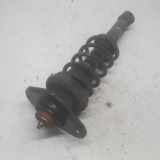 Stoßdämpfer Links Hinten 33506764912 Mini Mini (R50/53) Schrägheck 1.6 16V One (W10-B16A) 2003-05