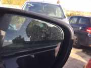 Außenspiegel Rechts 963011541R Renault Captur (2R) SUV 0.9 Energy TCE 12V (H4B-408(H4B-B4)) 2018