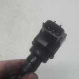 Zündspule 224332734R Renault Clio V (RJAB) Schrägheck 5-drs 1.0 TCe 100 12V (H4D-472) 2019