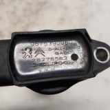 Z?ndspule 9675390980 Citro?n C4 Cactus (0B/0P) Schr?gheck 5-drs 1.2 PureTech 110 12V (EB2DT(HNZ)) 2018 EB2DT(HNZ)