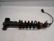 Stoßdämpfer Links Hinten 5207E0 Peugeot 407 (6C/J) Coupé 3.0 HDiF V6 24V (DT20C(X8Z)) 2011-03