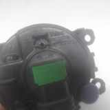 Nebelscheinwerfer Rechts Vorne 8200074008 Renault Scénic II (JM) Großraumlimousine 1.6 16V (K4M-782) 2005